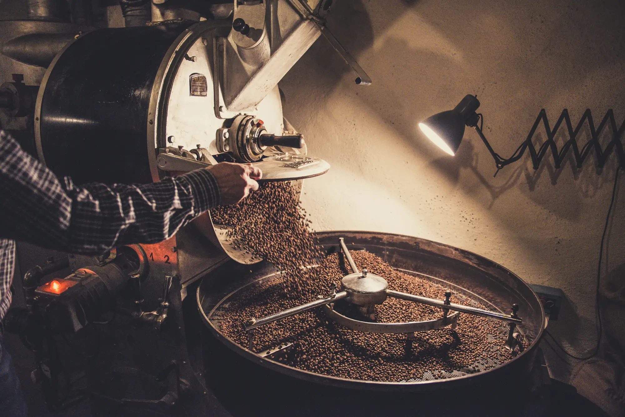 Freshly roasted beans pouring from the roaster into the cooling tray