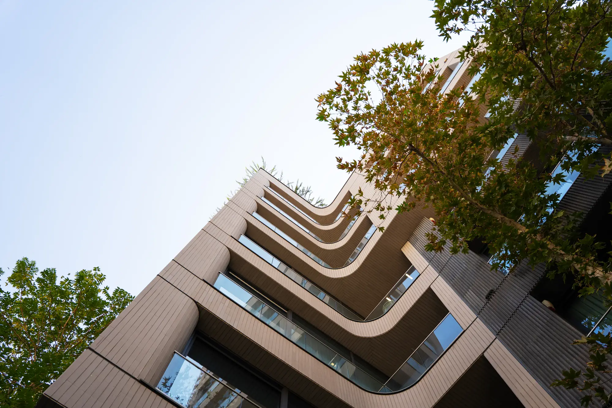 Curved concrete balconies rising against the sky beside a tree