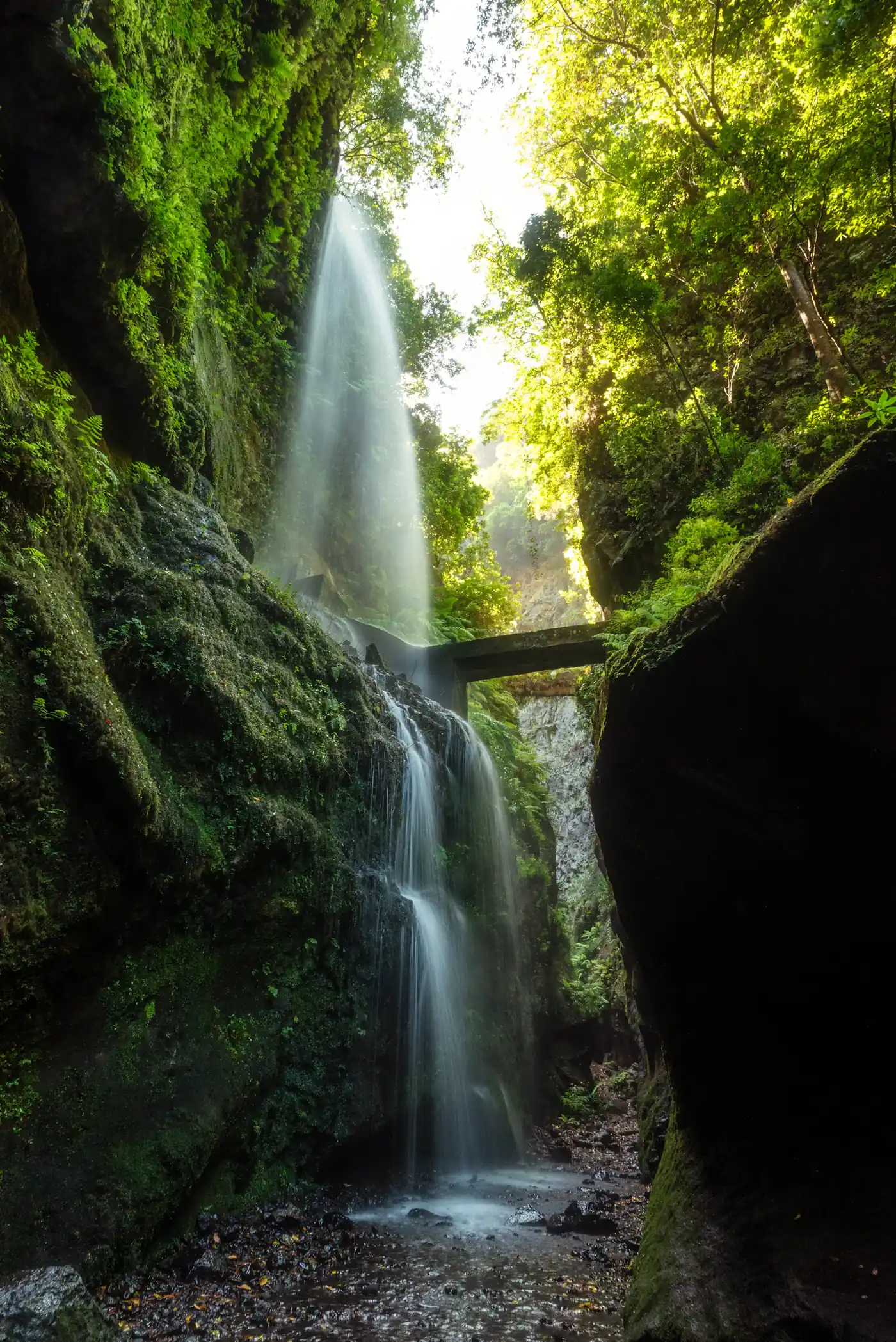 A waterfall pouring into a narrow green canyon