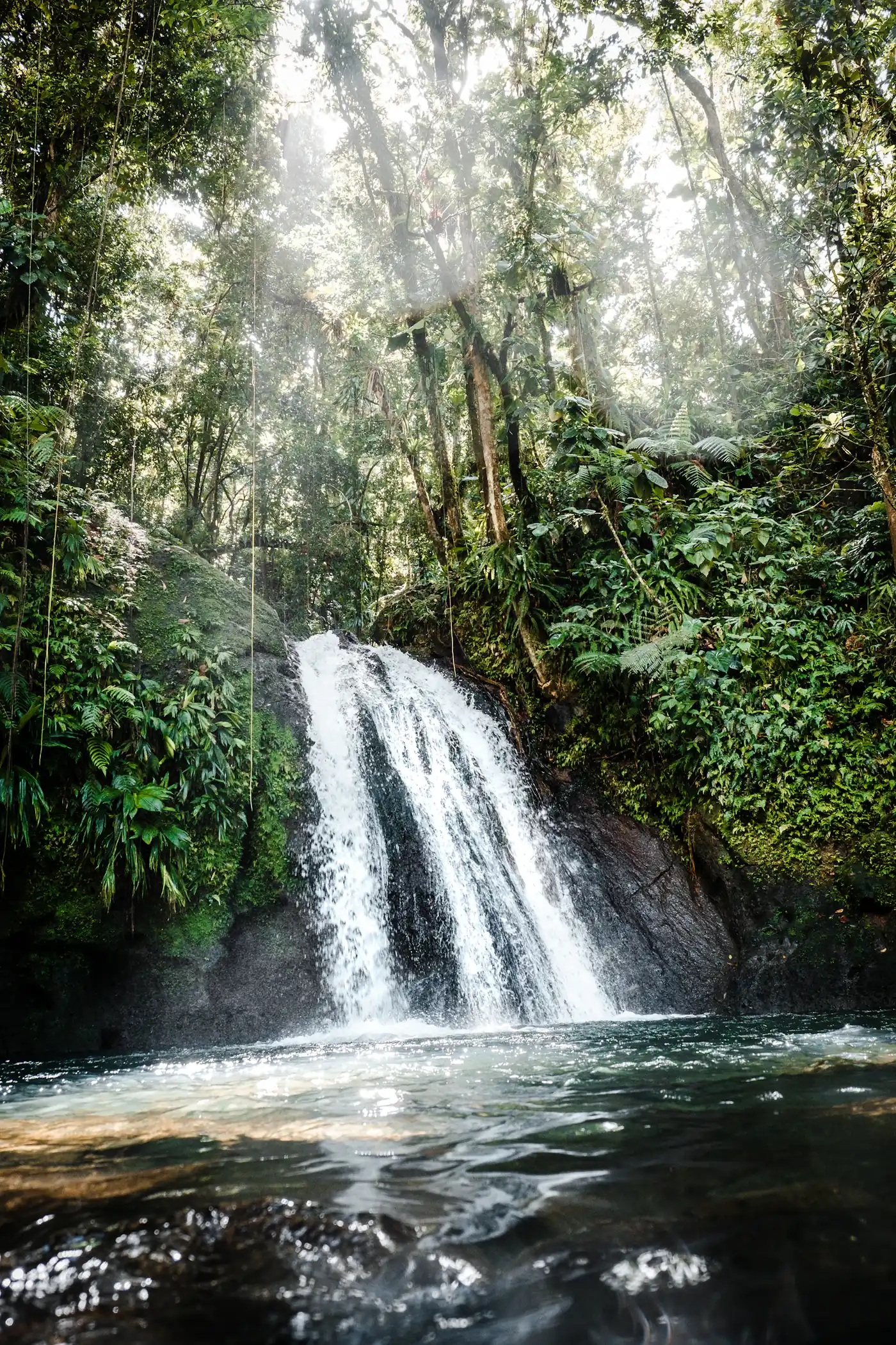 A waterfall falling into a clear rainforest pool
